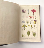 1862 Traité des Plantes Médicinales Indigènes Précédé d'un Cours de Botanique, Antonin Bossu