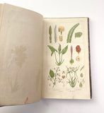 1862 Traité des Plantes Médicinales Indigènes Précédé d'un Cours de Botanique, Antonin Bossu