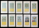 c.1890 Tarot Grand Etteilla B. P. Grimaud