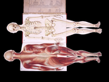 c.1900 Livre d'Or de la Santé [Anatomy/Medicine] 3 Volume Set