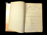 c.1870 Histoire Naturelle Illustrée Végétaux