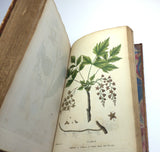 1804 1st UK Edition Elements of Botany by Barton