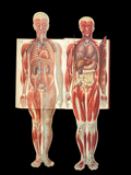c.1900 Livre d'Or de la Santé [Anatomy/Medicine] 3 Volume Set