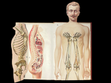 c.1900 Livre d'Or de la Santé [Anatomy/Medicine] 3 Volume Set