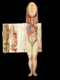 c.1900 Livre d'Or de la Santé [Anatomy/Medicine] 3 Volume Set