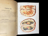 c.1900 Livre d'Or de la Santé [Anatomy/Medicine] 3 Volume Set