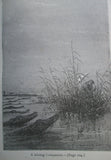 1874 Meridiana: The Adventures of Three Englishmen and Three Russians in South Africa, Jules Verne
