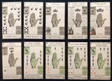 c.1930 Nouveau Jeu De La Main Antique Palmistry Cards