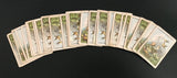 c.1880 Dondorf Patience Cards (33/52)